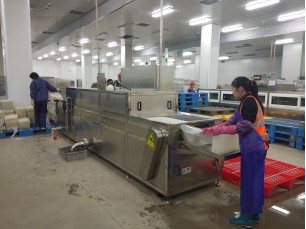 連續(xù)通過(guò)式噴淋清洗機(jī)